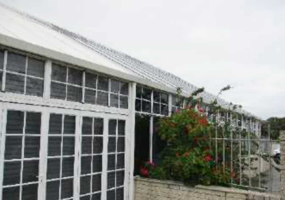Banjup-04